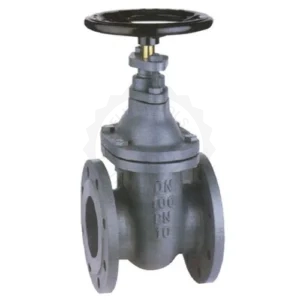 Cast Iron Gate Valve – Flanged PN16 – Brass Stem – PN10 Rated