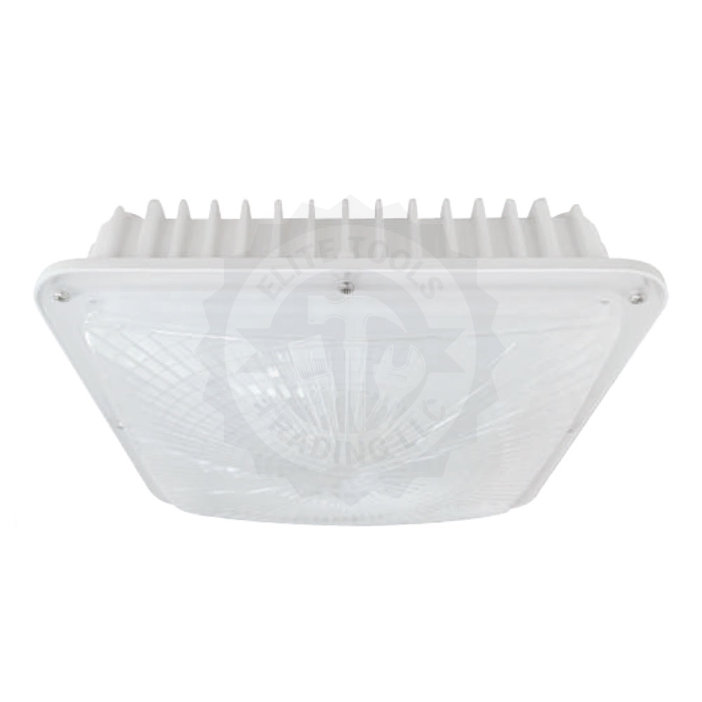 Canopy Light